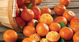 L-Espagne-investit-400000-€-pour-la-promotion-des-oranges-et-mandarines-au-Canada