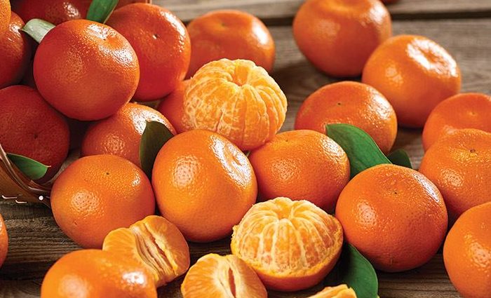 Les mandarines marocaines en forte demande sur le marché américain