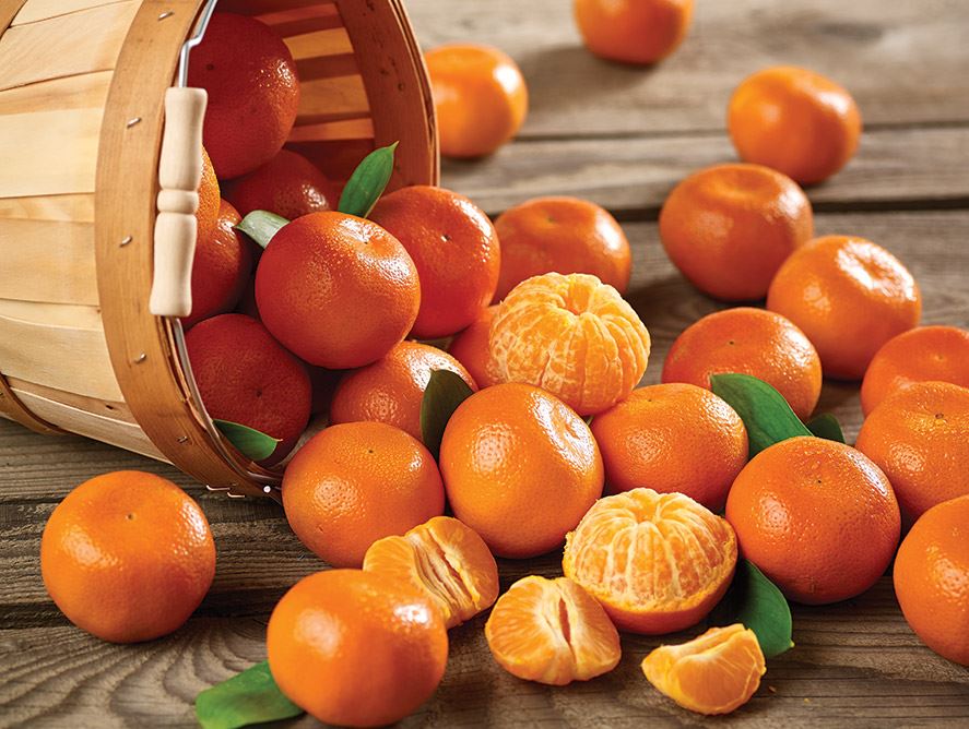 La Slovaquie détruit des mandarines turques pour excès de pesticides et donne l&rsquo;alerte