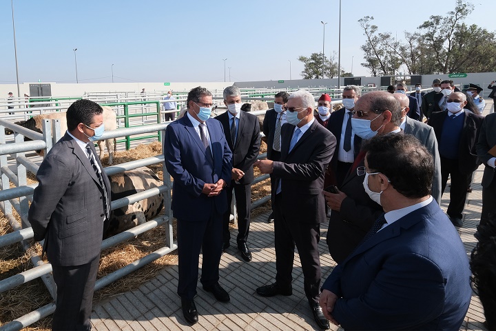 Inauguration d’un marché moderne à bestiaux à Sidi Bennour