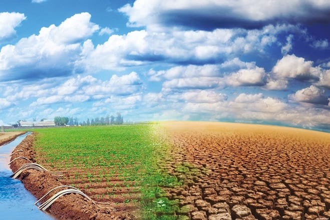 Maroc-Afrique: Partenariat pour l’agriculture et l’alimentation