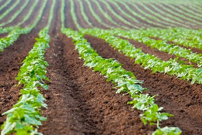 Le Maroc et les Pays-Bas veulent identifier de nouveaux axes de coopération