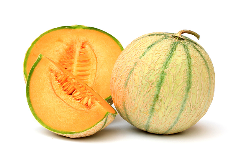 Le Maroc est classé 11e dans l&rsquo;export mondial de melons en 2015