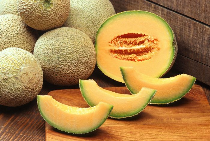Le Maroc, 4ème fournisseur en melon de l&rsquo;Union européenne
