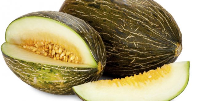 Melons: Les États-Unis et les Pays-Bas sont parmi les plus gros importateurs
