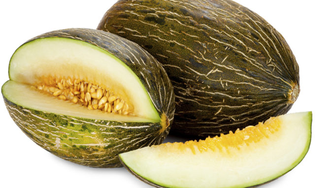 Exportations de melons: Le Maroc décroche la 11ème place mondiale