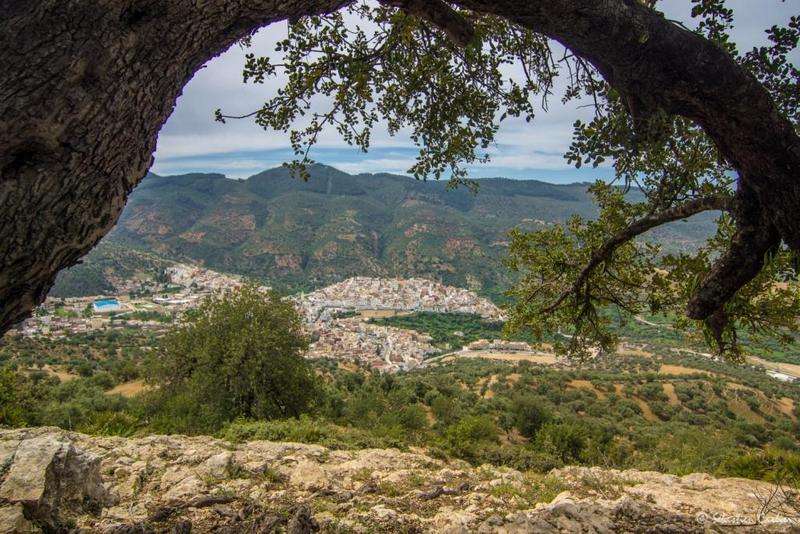 Bassin de la Moulouya, les précipitations récentes améliorent la sécurité hydrique dans l’Oriental
