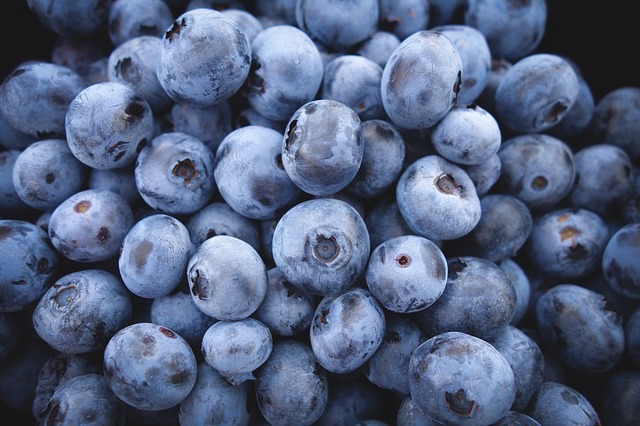 African Blue renforce sa présence sur le marché marocain de la myrtille