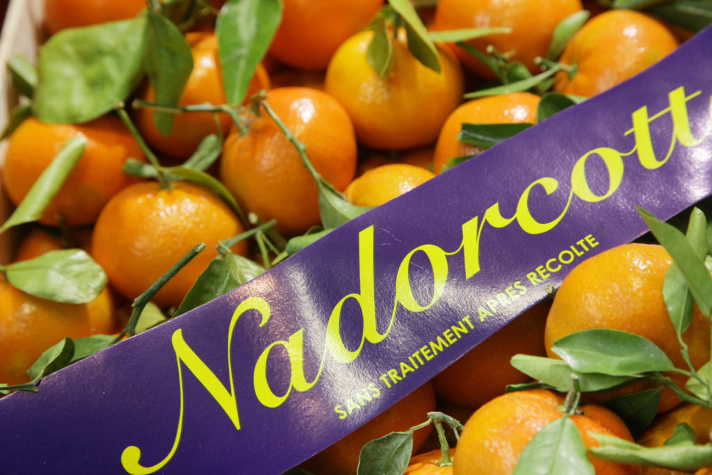La labellisation des produits agricoles au Maroc