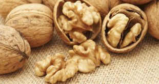 Le Maroc, deuxième importateur de noix en provenance de Chili