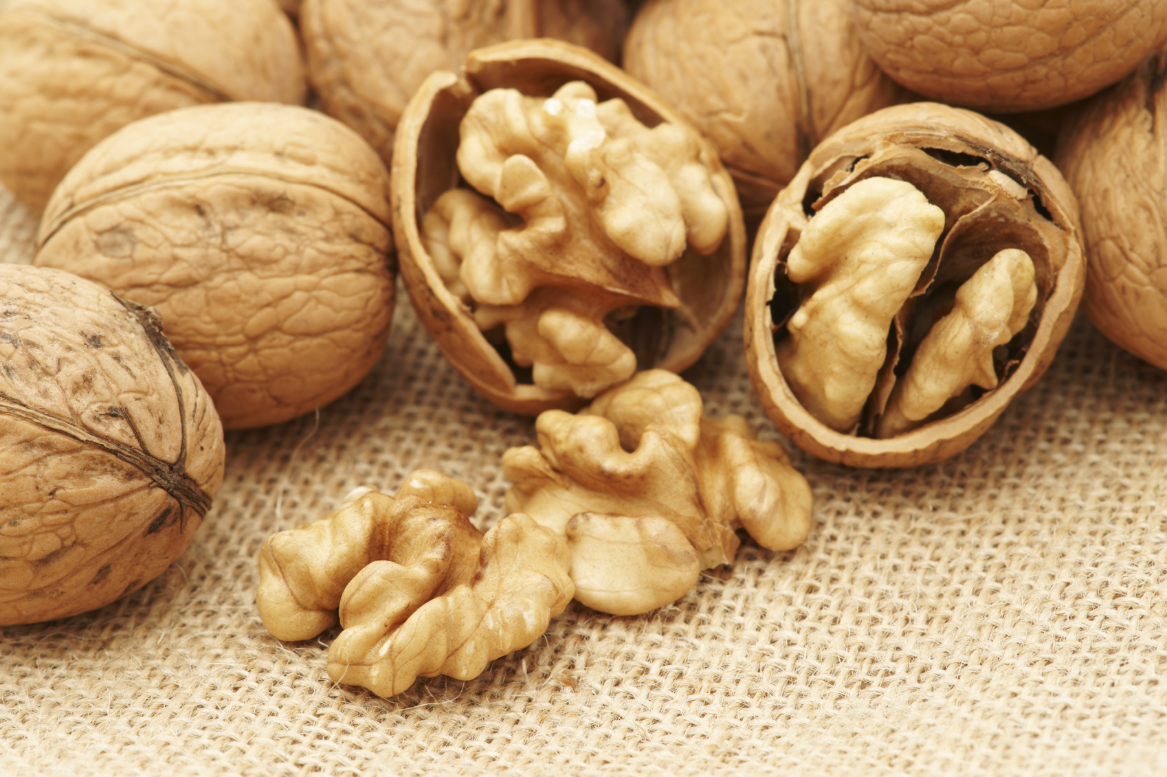 Noix : Le Maroc dans le top 20 des principaux pays producteurs