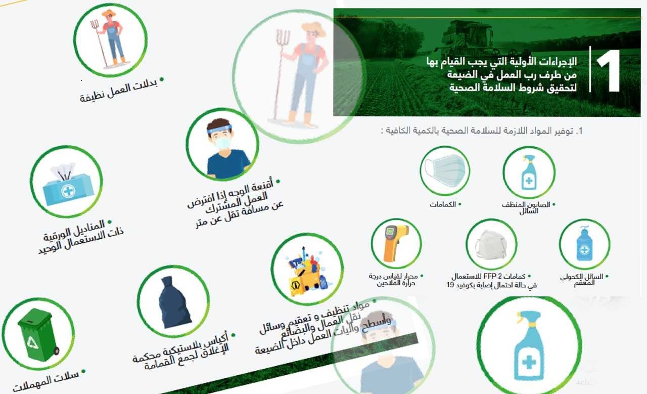 كوفيد 19 : إطلاق مجموعة من الإجراءات للتأطير عن قرب لمجال الاشتغال بقطاعي الفلاحة والصيد البحري