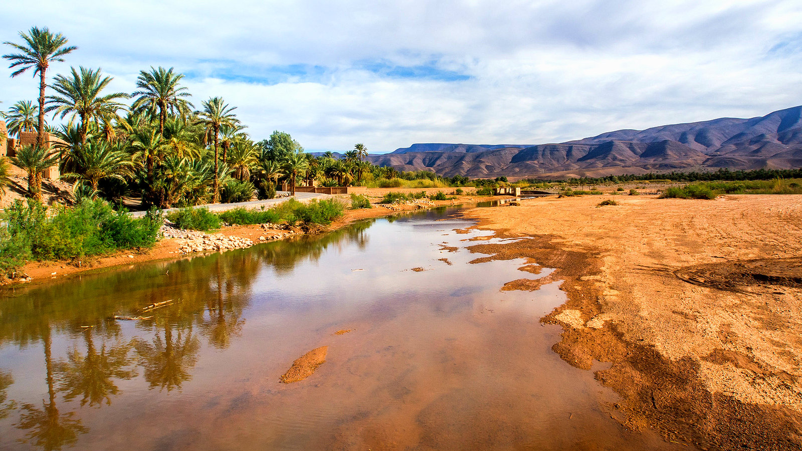 COP22: Une nouvelle proposition « l&rsquo;Oasis Durable »