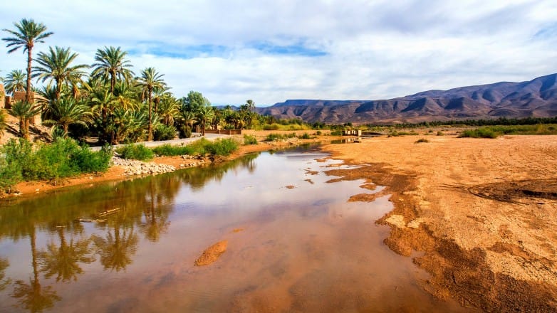 Quel avenir pour les oasis du Maroc ?