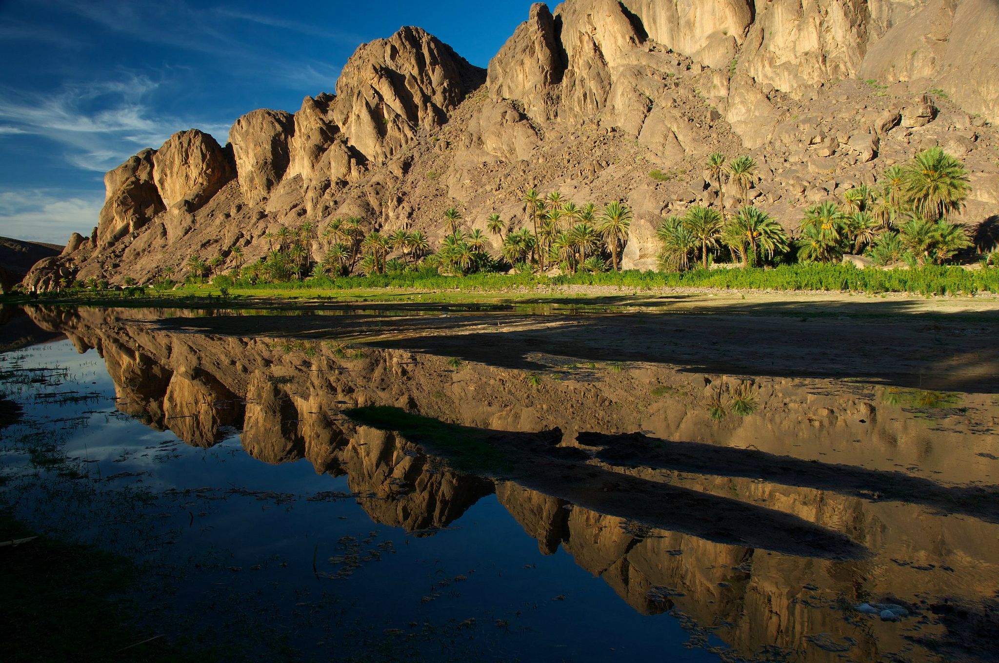 Les oasis dans le sud du Maroc sont en voie de disparition