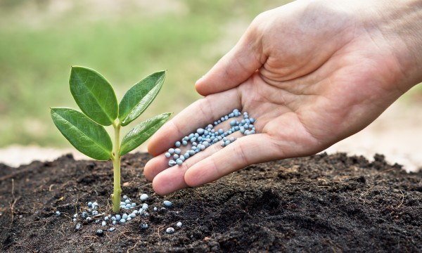 Épandage des fertilisants liquides et solides