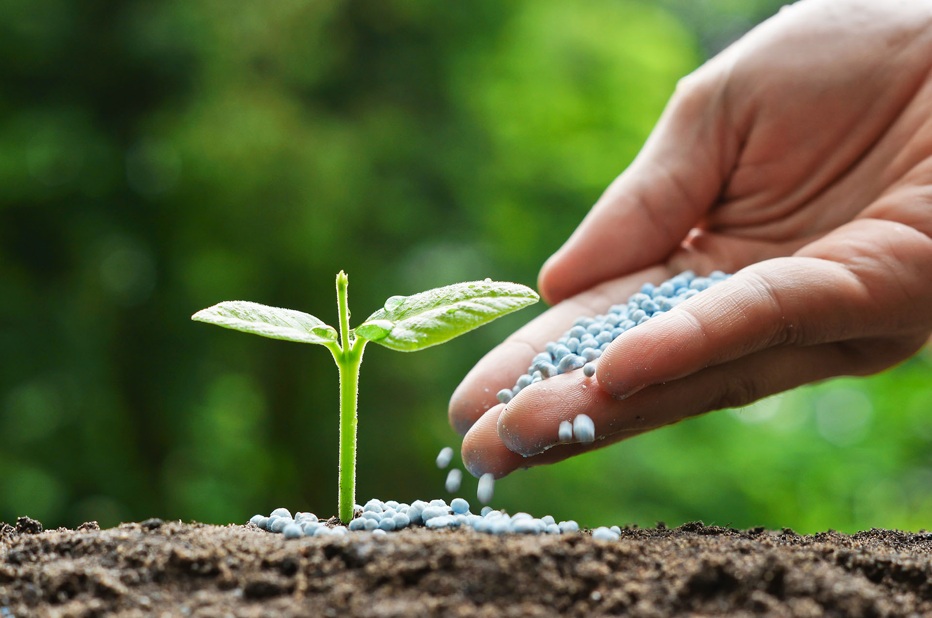 L&rsquo;ONSSA fait un rappel aux importateurs de fertilisants