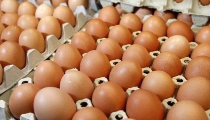 Le coût actuel de production des œufs au Maroc est de 1,30 DH