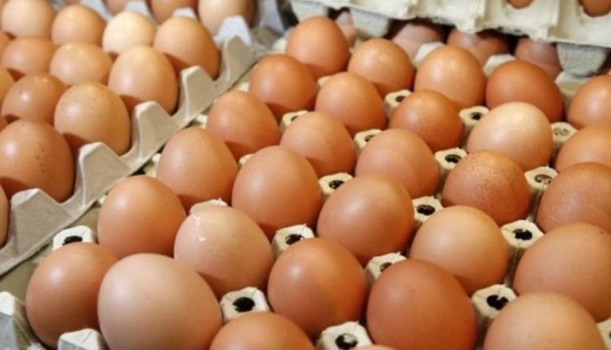 Œufs de consommation : Une perte de 350 MDH à cause du coronavirus
