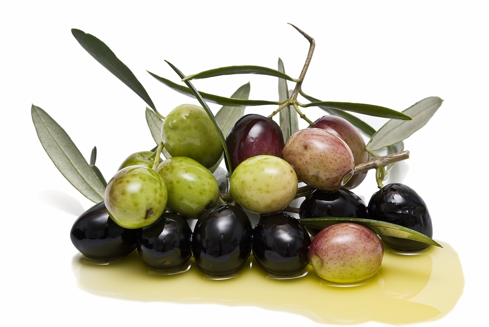 De nouvelles opportunités pour les olives marocaines
