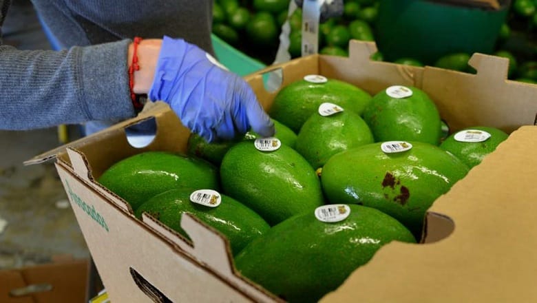 Oman: Nouvelle réglementation des importations de fruits et légumes