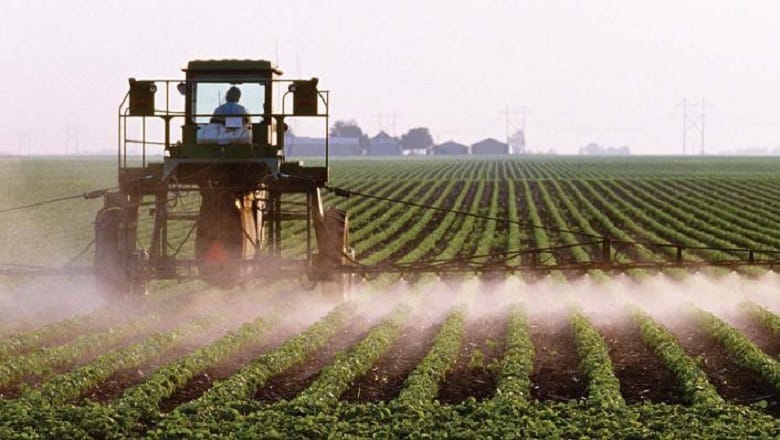Intrants agricoles : face à la volatilité des prix, les producteurs marocains arbitrent entre prudence et optimisation