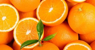 11% des oranges consommées en Amérique du Nord sont issues du Maroc