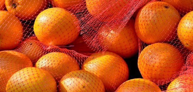 Le Danemark émet une alerte sur les oranges égyptiennes pour excès de pesticides