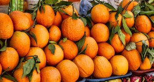 Marché mondial des oranges prix, demande, offre...