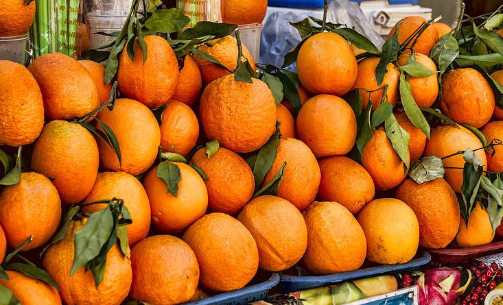 Marché mondial des oranges : prix, demande, offre…