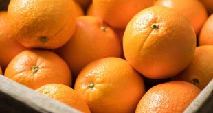 Oranges: Le Maroc dans le top 15 mondial des producteurs