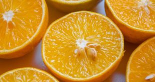 Oranges Brésil et Égypte, leaders de la production et des exportations