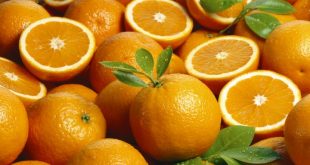Inde: La demande des oranges égyptiennes de Valence est extrêmement élevée