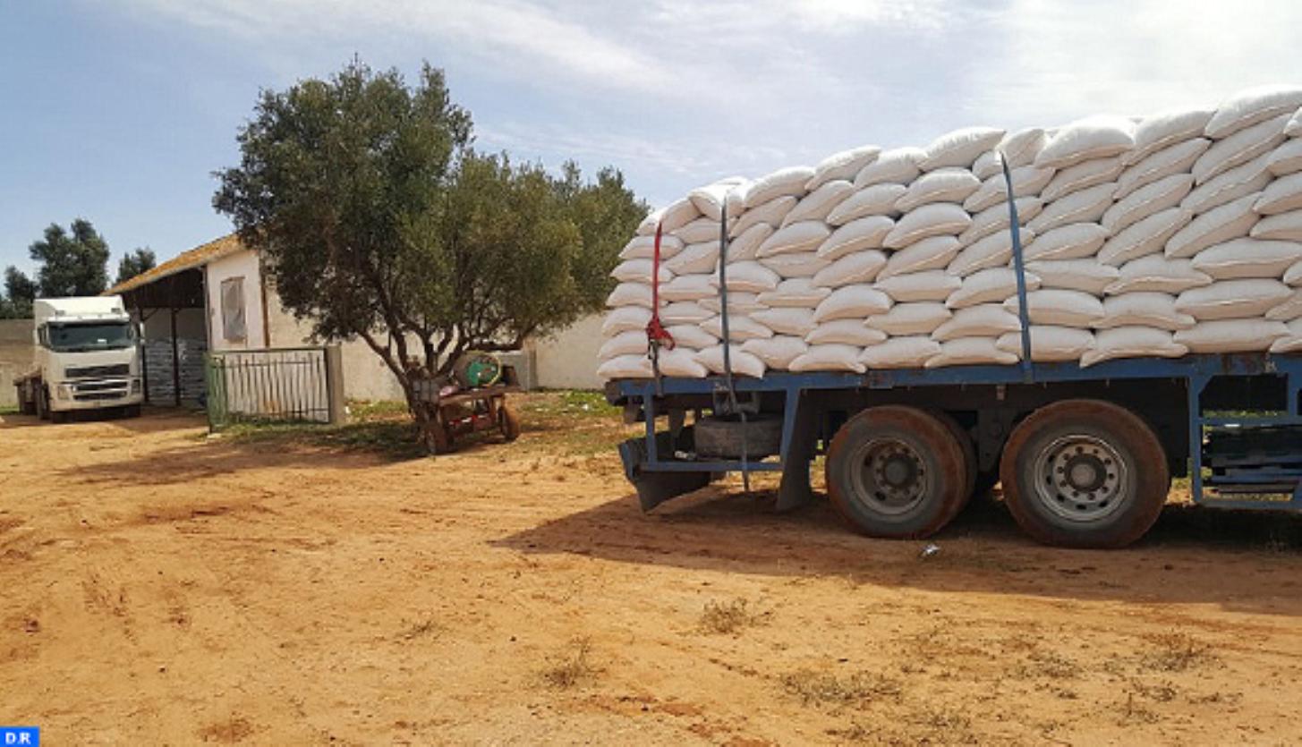Marrakech : 454.500 qx d’orge subventionnée distribués à 31.115 agriculteurs
