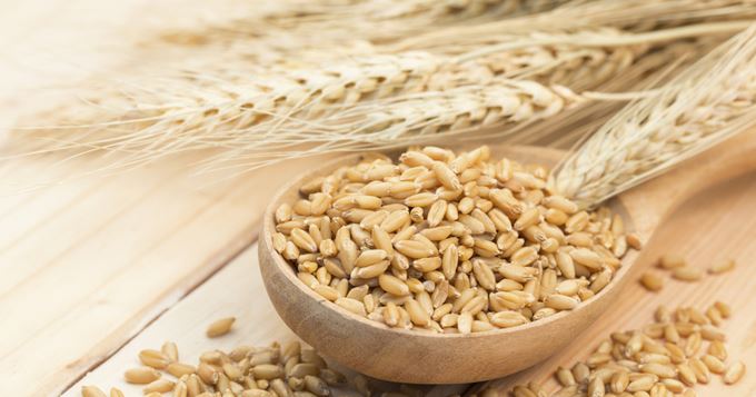 Inde : la suspension des cotations à terme des principales matières premières agricoles prolongée jusqu&rsquo;au 20 décembre 2023