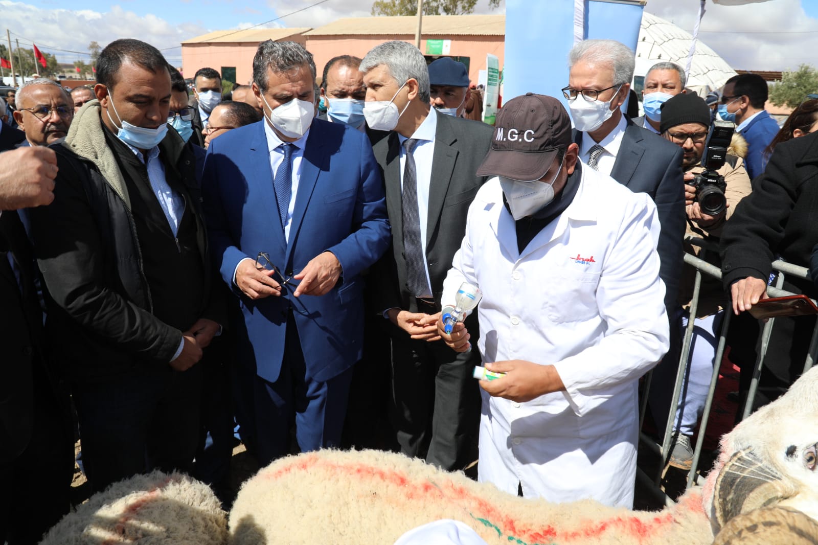 L&rsquo;opération de distribution d&rsquo;orge subventionnée lancée à Marrakech-Safi