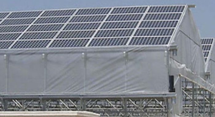 Les panneaux solaires peuvent servir à couvrir les serres, selon une étude