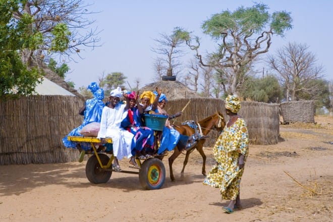 Partenariat agricole entre le Maroc et le Sénégal