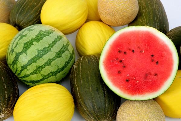 L&rsquo;Egypte s&rsquo;impose sur le marché Saoudien des melons et pastèques