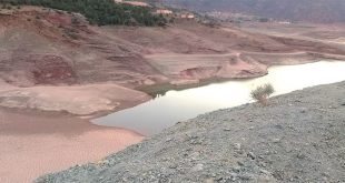 cultures vivrières: Une pénurie d'eau sévit dans le Haouz