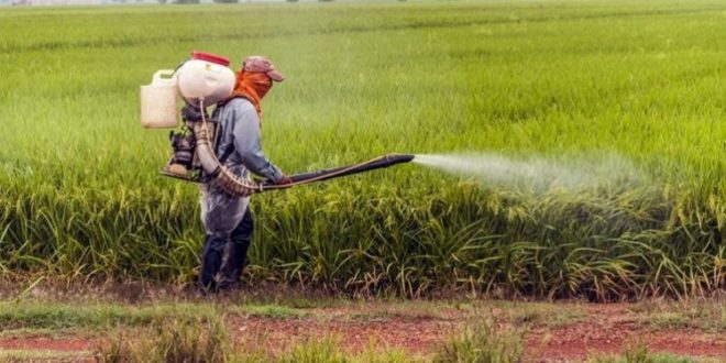 pesticide-autisme-tsa