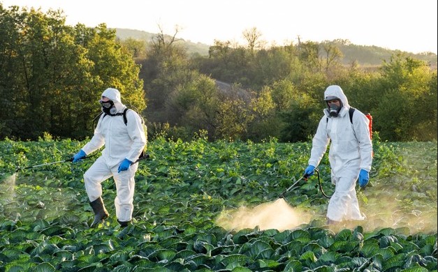 Espagne : 44% des fruits et légumes contiennent des résidus de pesticides