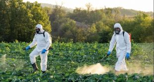 L'utilisation de pesticides illégaux, une pratique courante en Europe