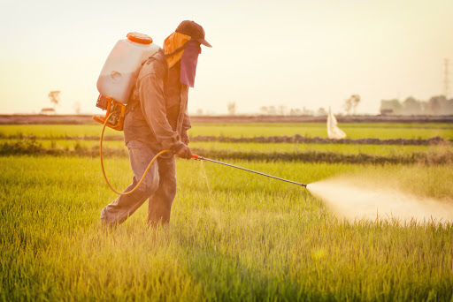 L&rsquo;ONSSA envisage l&rsquo;interdiction de plusieurs pesticides