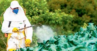 ONSSA: Les agents de l'ONSSA se forment sur les pesticides agricoles contrefaits