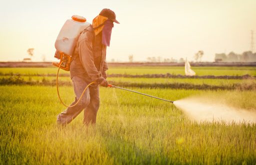 La consommation de pesticides agricoles en Espagne atteint des sommets