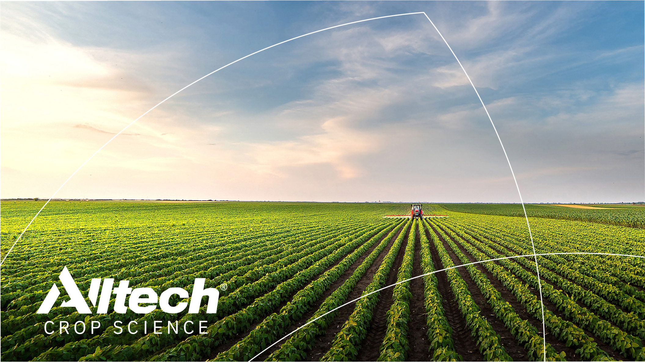 Alltech : La solution de fermentation microbienne pour une meilleure santé et productivité des sols !