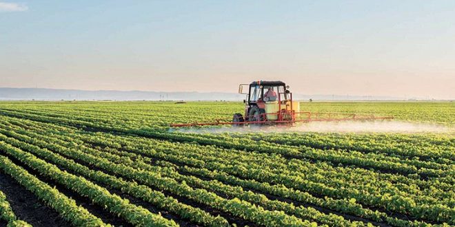 Le Maroc multipliera par 2 son PIB agricole d'ici 2030