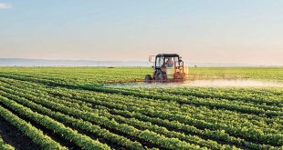 L'agriculture, un secteur pourvoyeur d'emplois et de richesse au Maroc