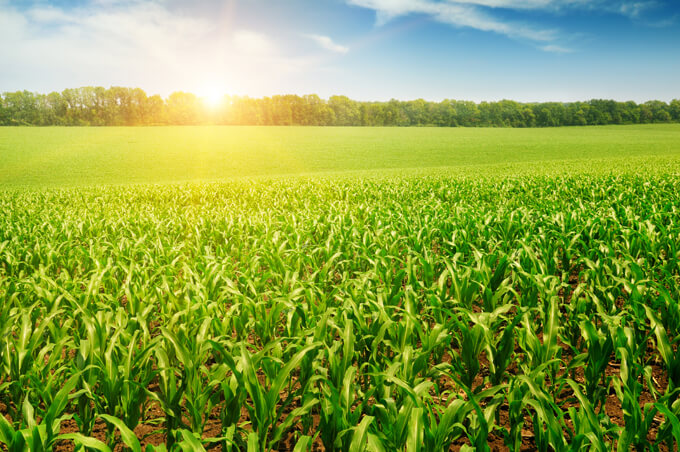 Quel avenir pour l&rsquo;agriculture marocaine après le PMV ?